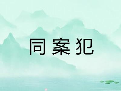 同案犯 同案犯