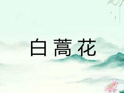 白蒿花