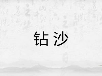 钻沙 钻沙