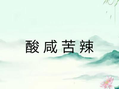 酸咸苦辣 酸咸苦辣