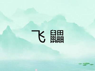 飞鼺