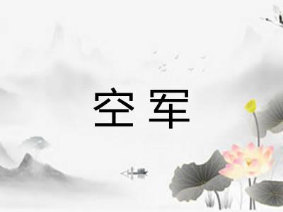 空军