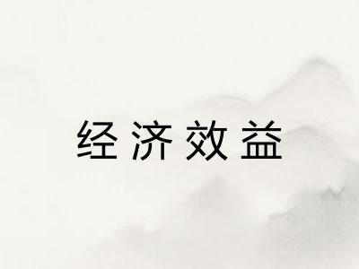 经济效益 经济效益