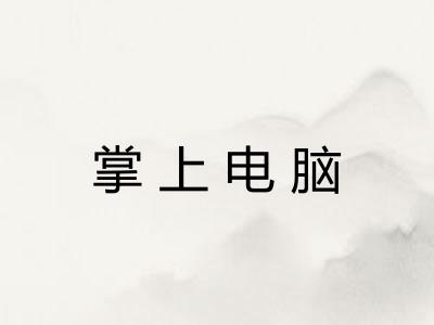 掌上电脑 掌上电脑