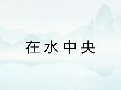 在水中央