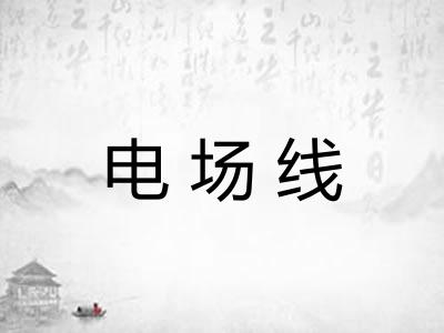 电场线 电场线