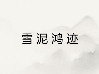 雪泥鸿迹 雪泥鸿迹