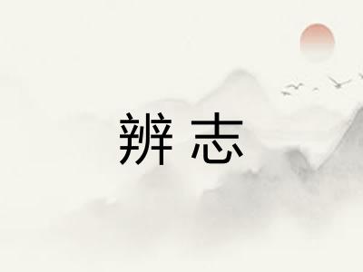辨志