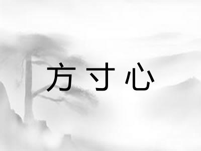 方寸心 方寸心