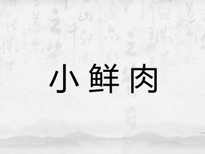 小鲜肉