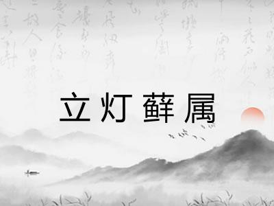 立灯藓属 立灯藓属