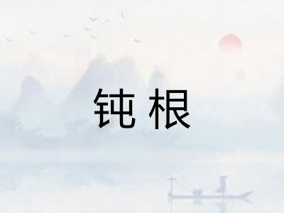 钝根 钝根