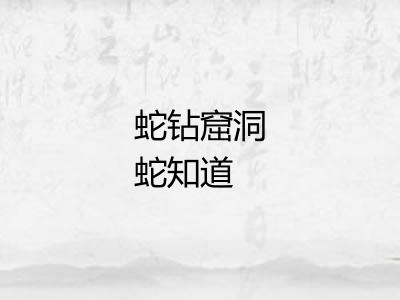 蛇钻窟洞蛇知道 蛇钻窟洞蛇知道