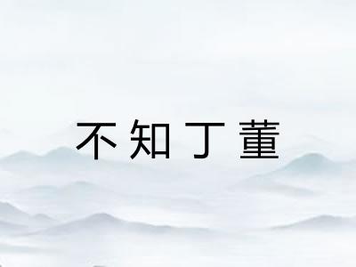 不知丁董 不知丁董