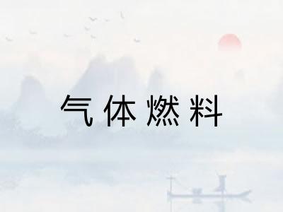 气体燃料 气体燃料