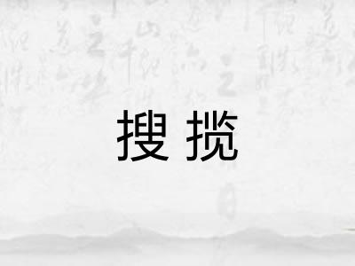 搜揽