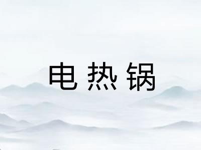 电热锅 电热锅