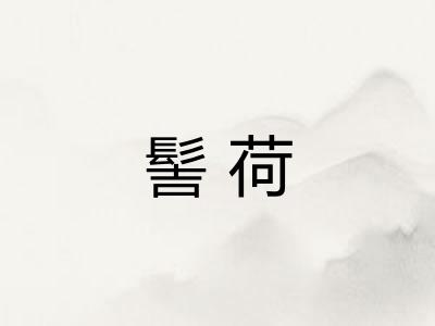 髻荷