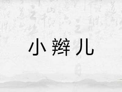 小辫儿 小辫儿
