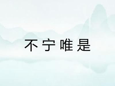 不宁唯是