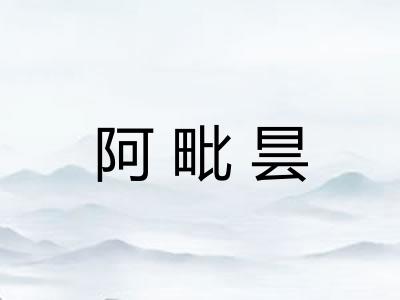 阿毗昙 阿毗昙