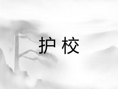 护校