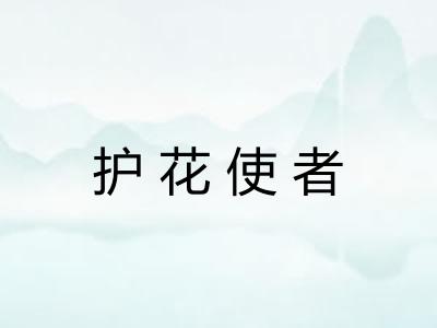 护花使者 护花使者