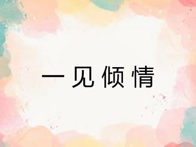 一见倾情