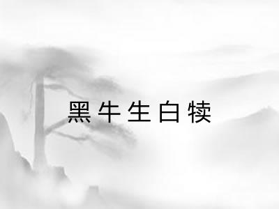 黑牛生白犊