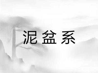 泥盆系 泥盆系
