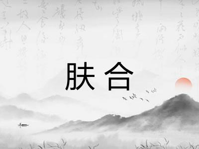 肤合