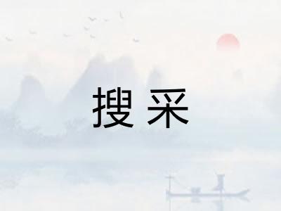 搜采