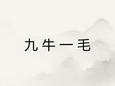 九牛一毛