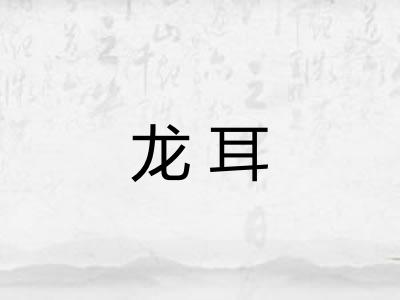 龙耳 龙耳