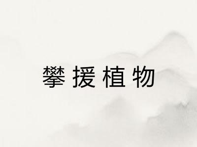 攀援植物 攀援植物