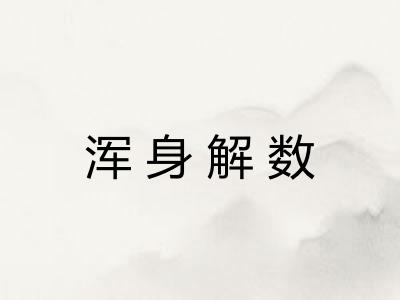 浑身解数 浑身解数