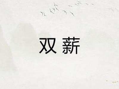 双薪