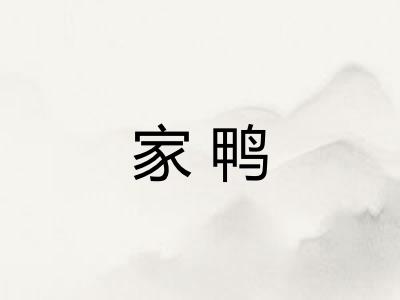 家鸭