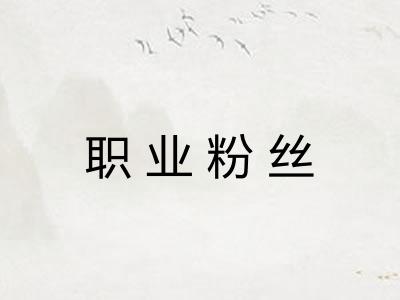 职业粉丝 职业粉丝