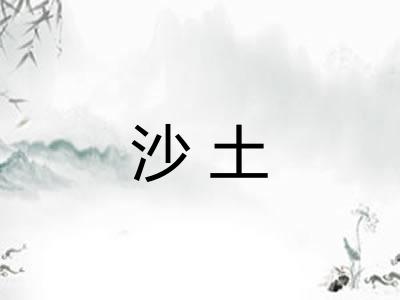 沙土 沙土