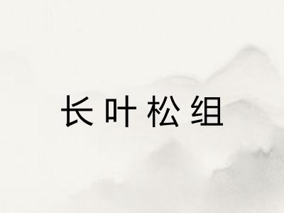 长叶松组 长叶松组