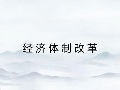 经济体制改革 经济体制改革