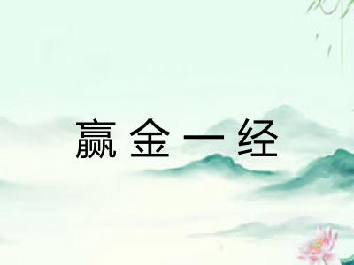 赢金一经 赢金一经