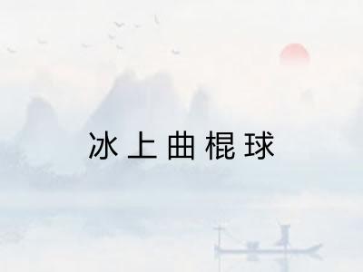 冰上曲棍球 冰上曲棍球
