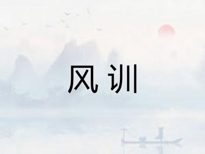 风训
