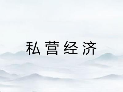 私营经济 私营经济