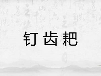 钉齿耙 钉齿耙