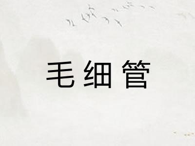 毛细管 毛细管