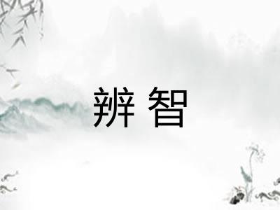 辨智