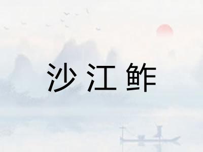 沙江鲊 沙江鲊